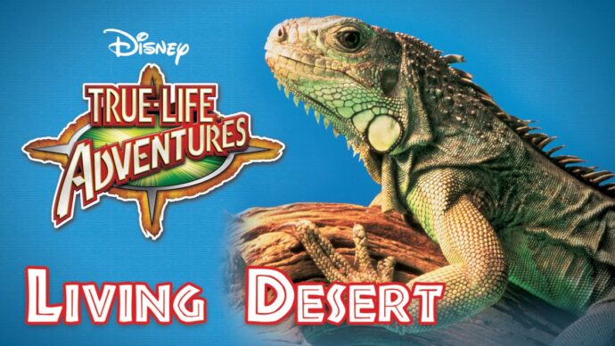 Promo image from "The Living Desert". Courtesy of Disney
