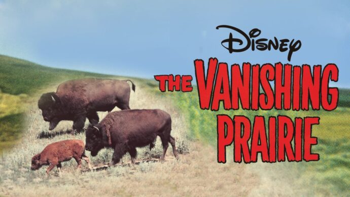 Image from "The Vanishing Prairie". Courtesy of Disney